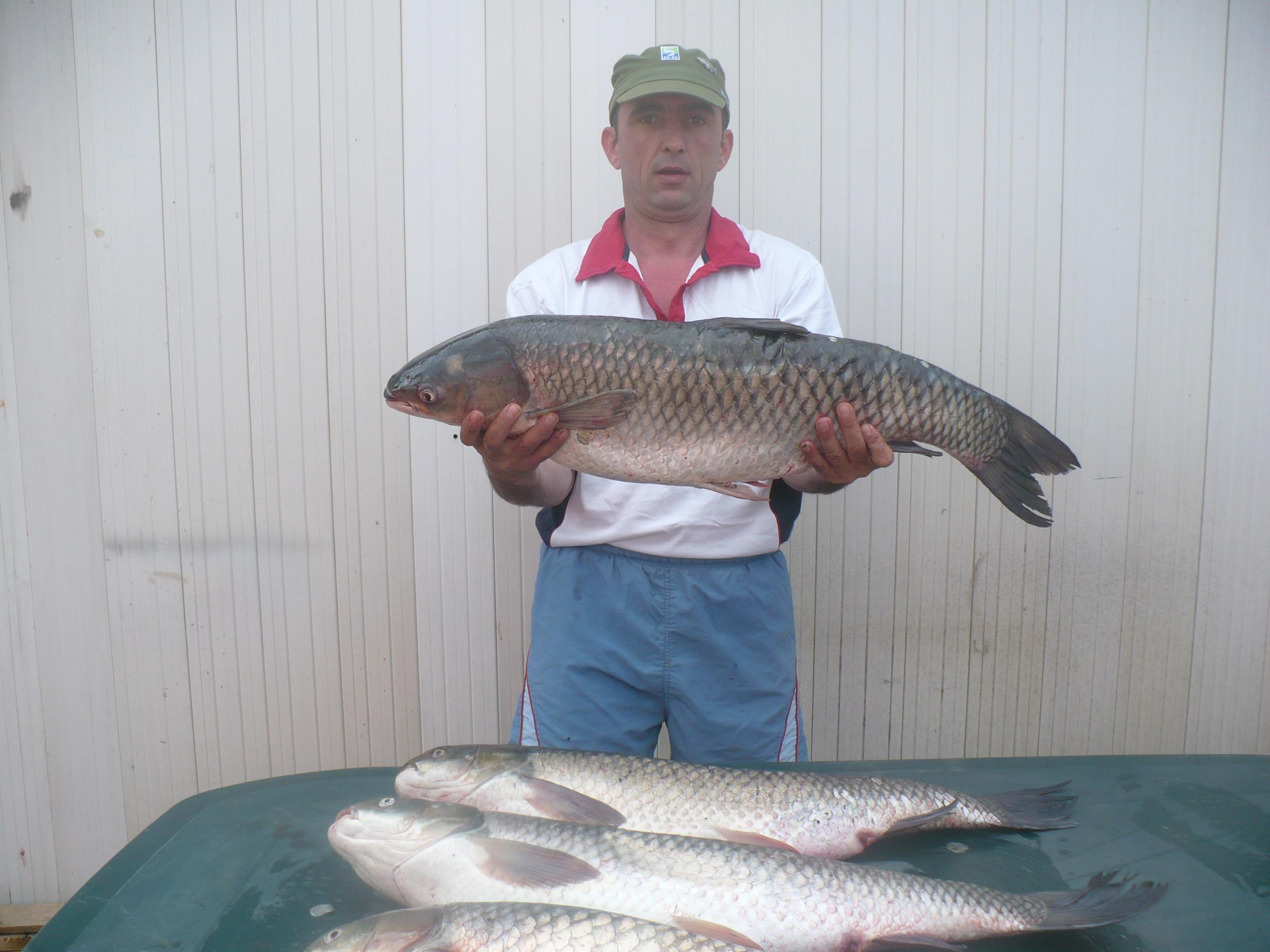 Capturi 2012 - P1020596.JPG